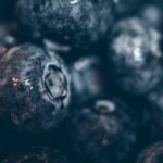 Acai Bær: Den Energitætte Superfood med Utallige Sundhedsfordele