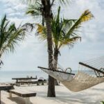 En eksotisk skat: En rejse til Zanzibar